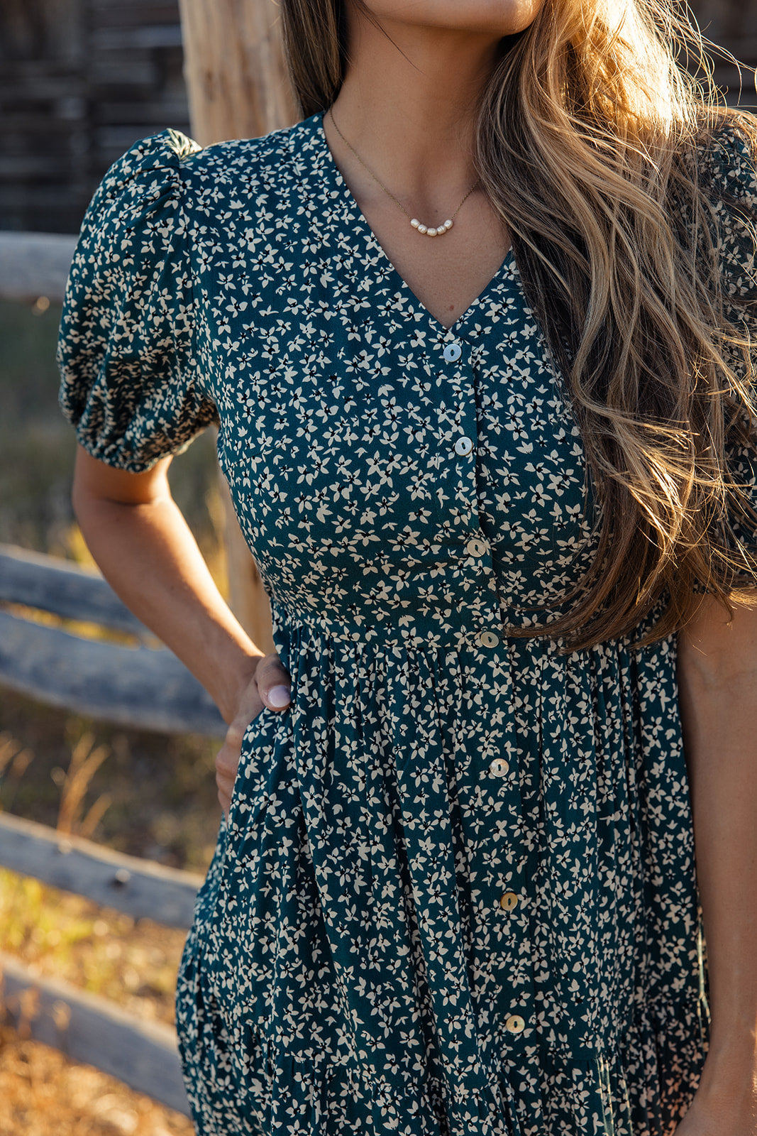 Netherfield Button Down Dress