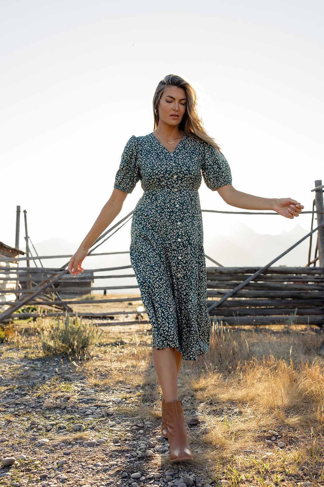 Netherfield Button Down Dress