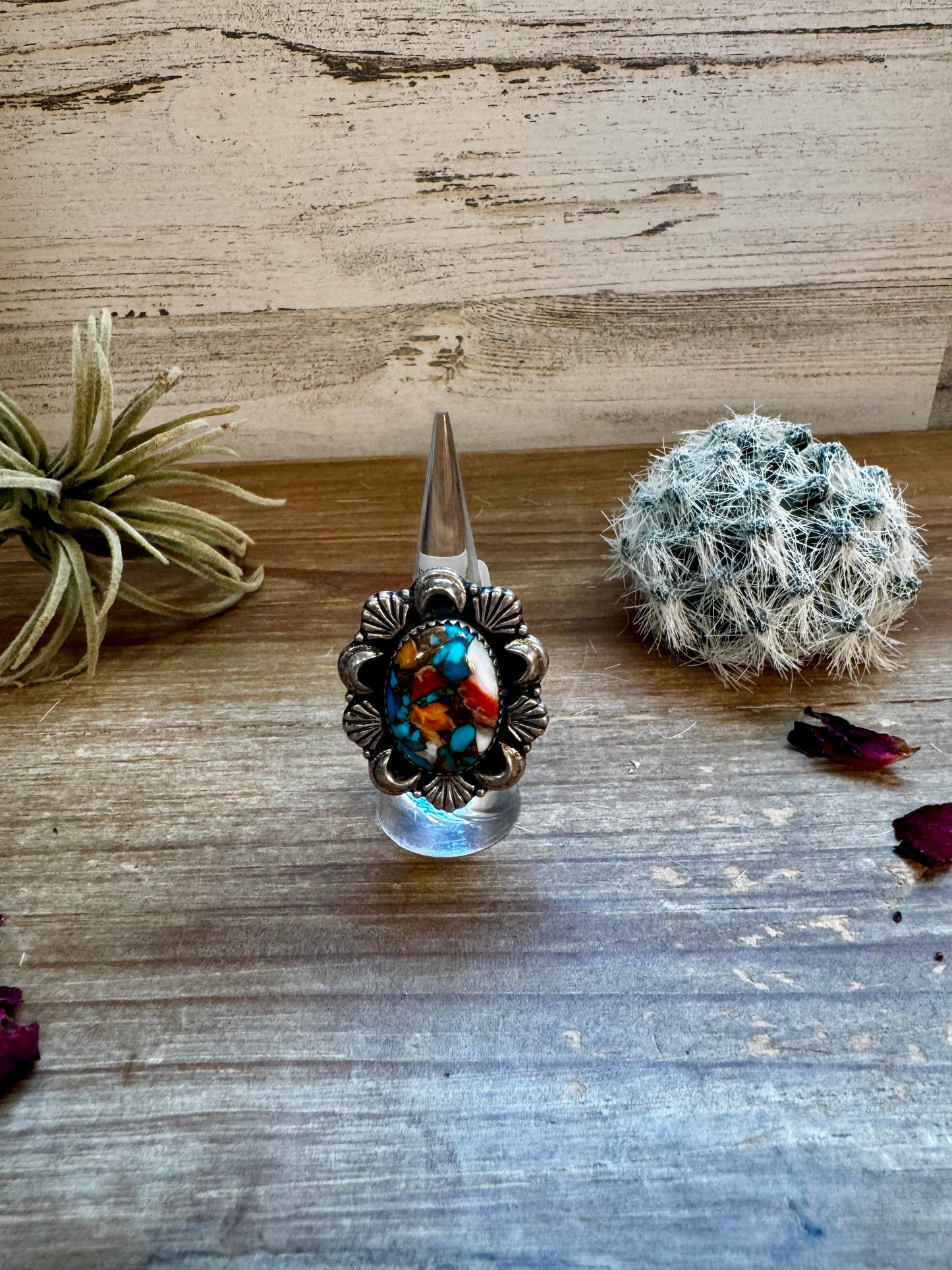 Big Oval - Adjustable - spiny, turquoise and sterling silver