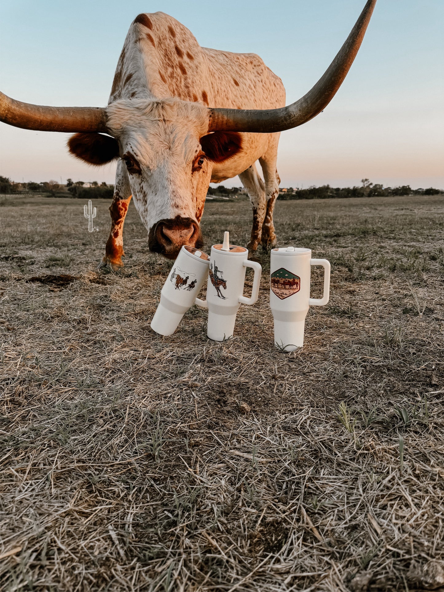 Cowpoke Tumbler