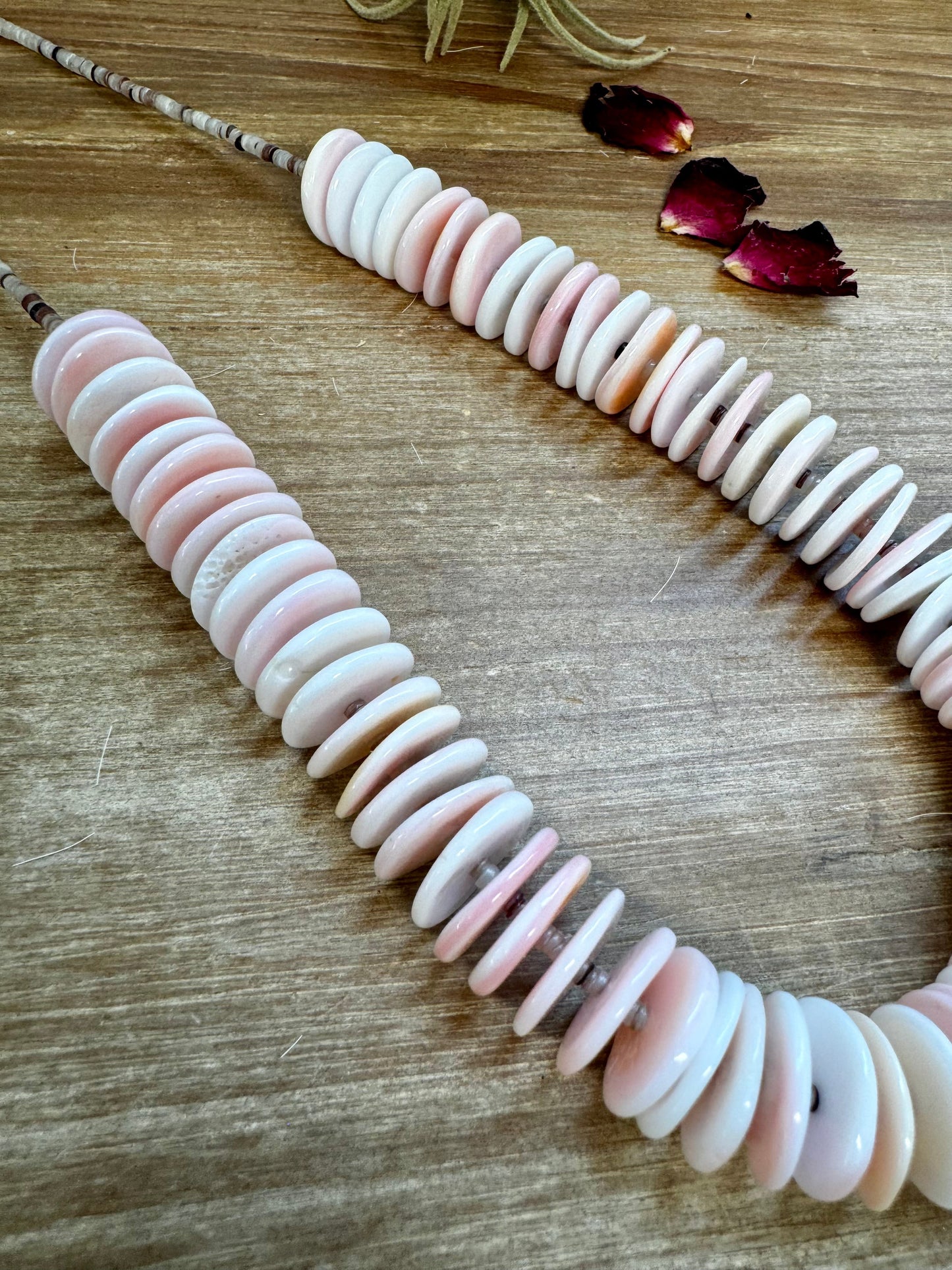 26 inch pink conch necklace